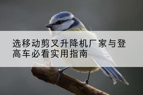 定南电动升降机厂家-选移动剪叉升降机厂家与登高车必看实用指南