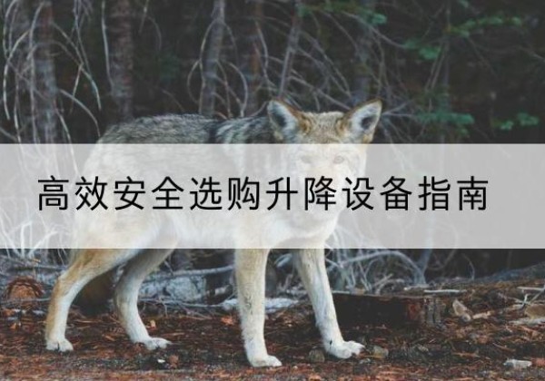 定南升降货梯厂家推荐-*安全选购升降设备指南